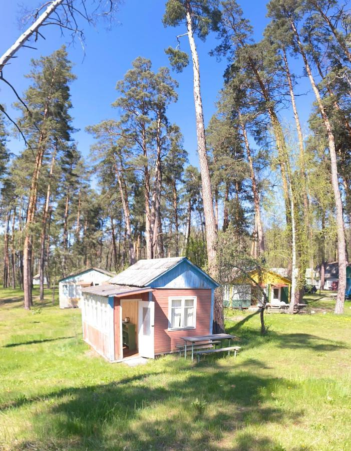 Baza Vidpochinku Energia Hotel Rudnya Peskovskaya Exterior photo